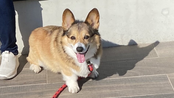 ◆犬と泊まる★お手頃飛騨牛プラン★飛騨牛＋焼き川魚＋無料貸切かけ流し温泉★現金